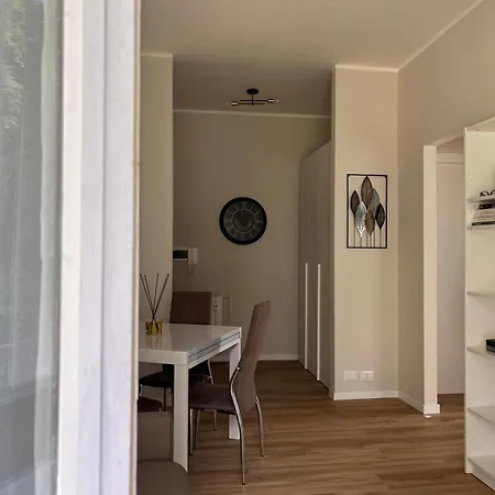 Camelia * 斯特雷萨