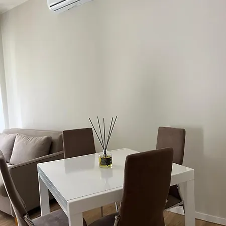 Camelia * 斯特雷萨