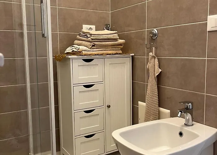 Camelia * 斯特雷萨