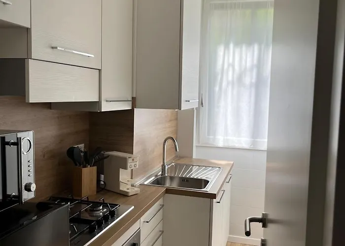 Camelia 斯特雷萨