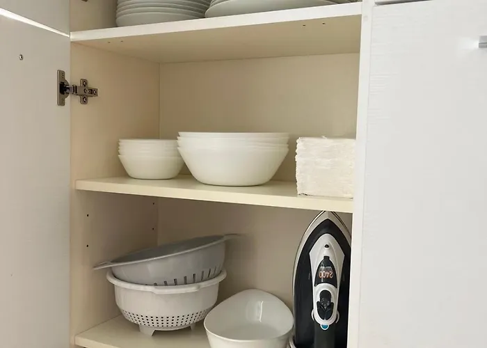 Camelia * 斯特雷萨