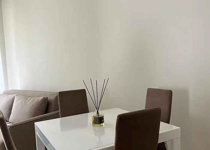 Camelia * 斯特雷萨